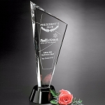 Invincible Award 14